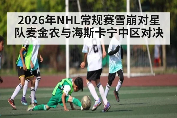 2026年NHL常规赛雪崩对星队麦金农与海斯卡宁中区对决 | Kaiyun sport